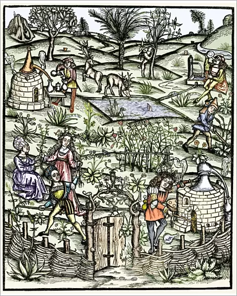 15th century herb garden, artwork
