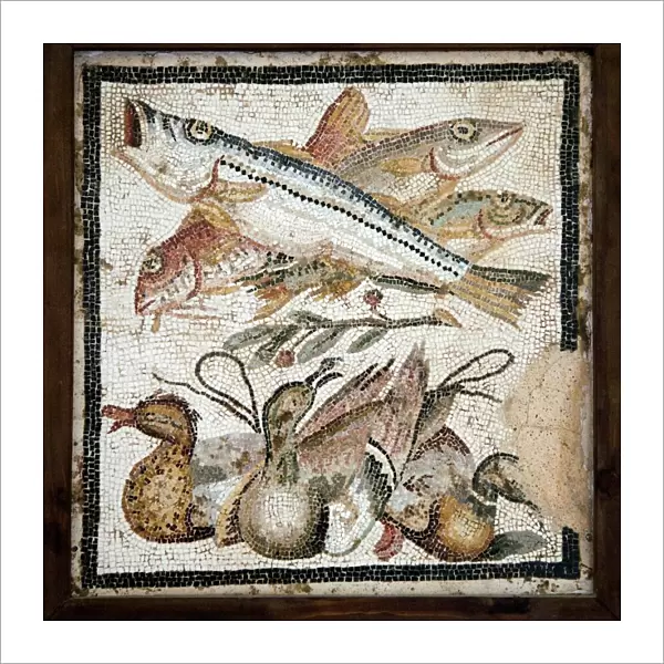 Red mullets and ducks, Roman mosaic