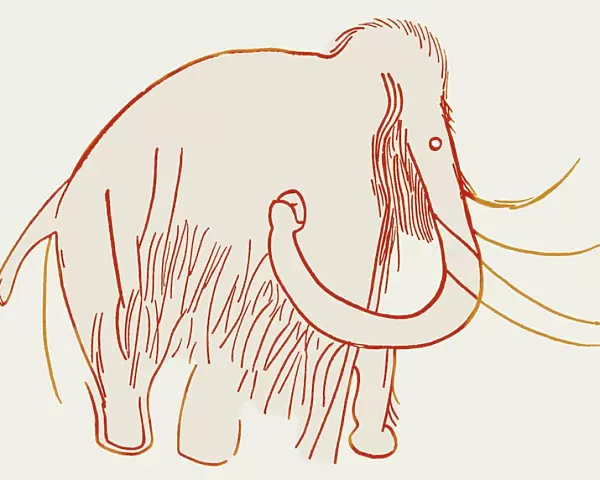 Cave painting of a mammoth, artwork