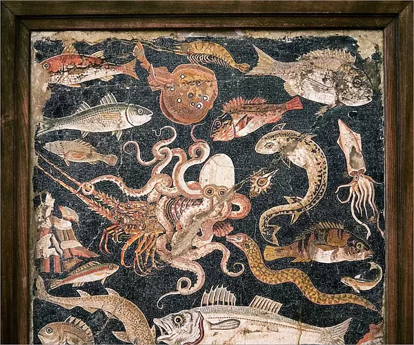 Roman seafood mosaic