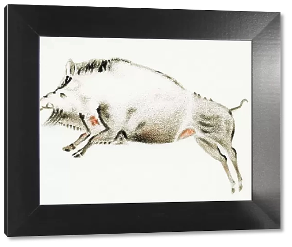 Cave painting of a boar, artwork