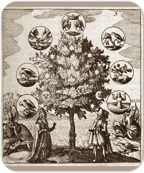 Alchemical tree, Philosophia reformata