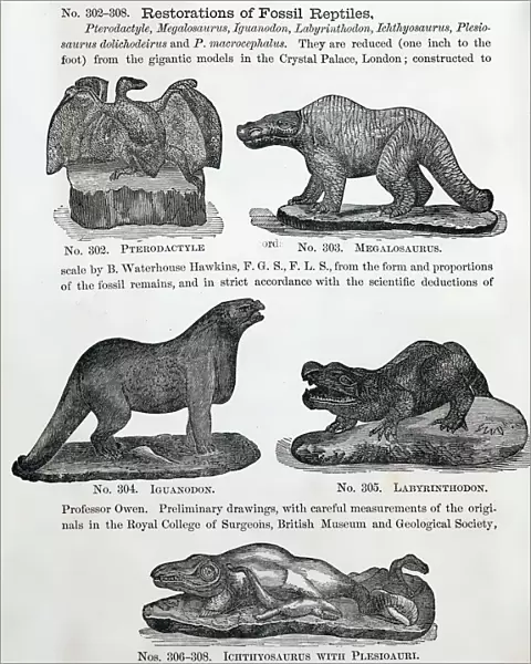 1866 Waterhouse Hawkins model dinosaurs