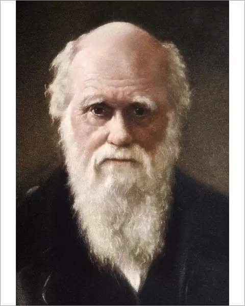 1881 Charles Darwin Face portrait