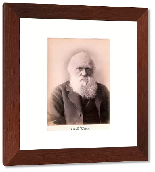 1879 Charles Darwin at eighty years old