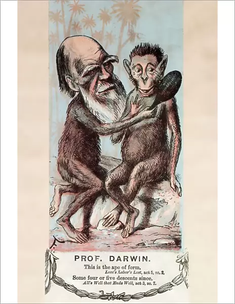 1874 Monkey Darwin cartoon by Faustin
