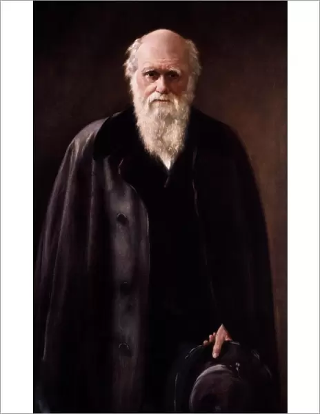 1881 Charles Darwin Portrait aftr Collier
