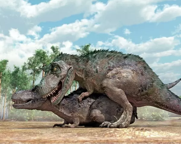 Tyrannosaurus rex dinosaurs mating