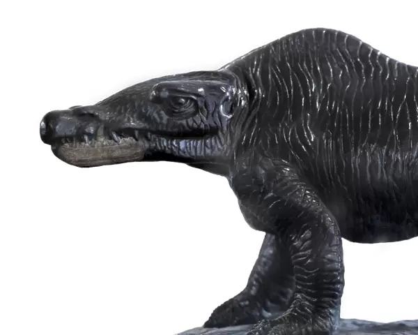 1854 Megalosaurus reconstruction & jaw 1854 Megalosaurus reconstruction & jaw