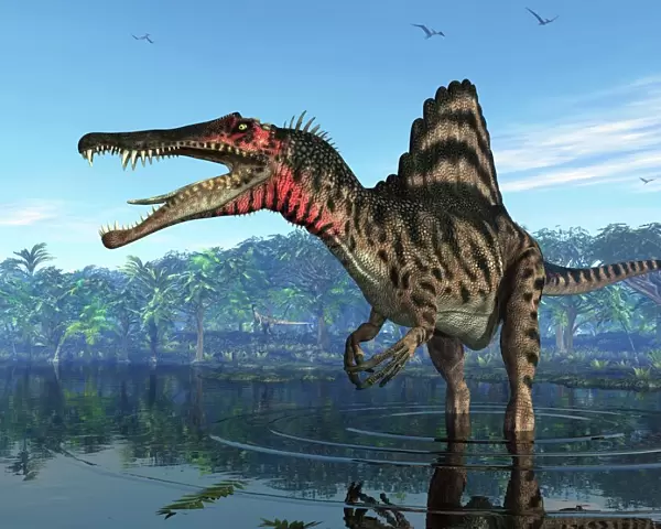 Spinosaurus dinosaur, artwork