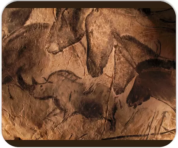 Stone-age cave paintings, Chauvet, France