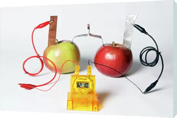 Fruit-powered clock