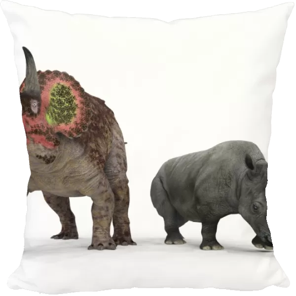 Triceratops dinosaur and rhino