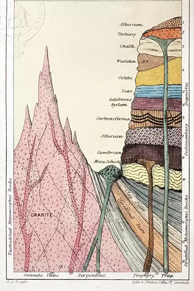 1838 Mantells Geological Strata Section