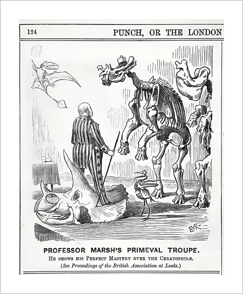 1890 Punch Cartoon Othaniel Marsh