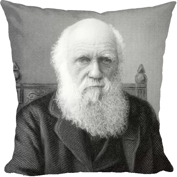 1879 Charles Darwin steel engraving crop