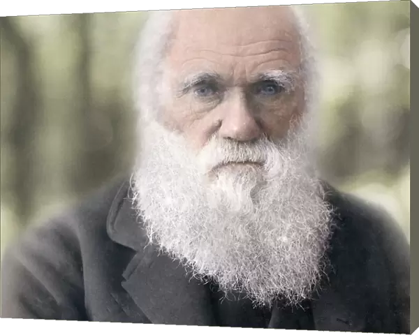 1879 Charles Darwin colour photograph