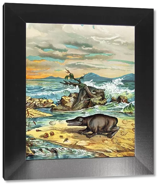 1888 Giant amphibian of triassic coast