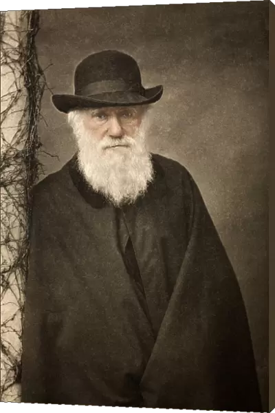 1881 Tinted Charles Darwin portrait