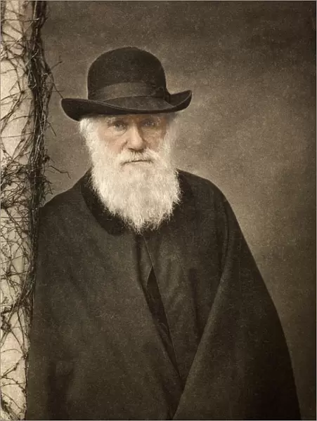 1881 Tinted Charles Darwin portrait