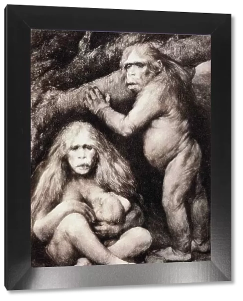 1894 Haeckel Pithecanthropus ape man crop