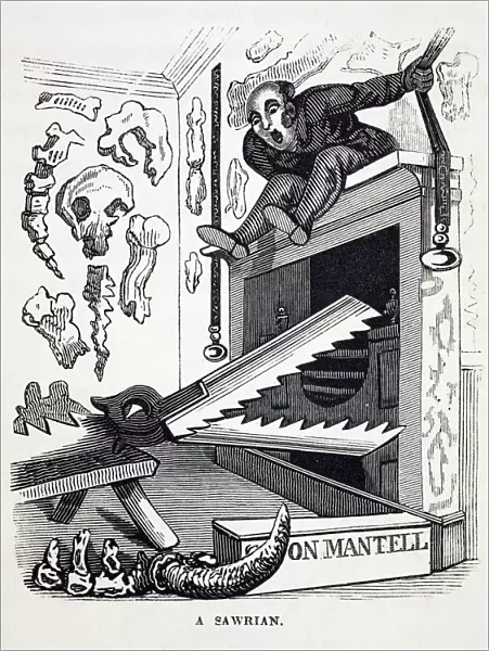 1836 Gideon Mantell Mantel Piece sawrian