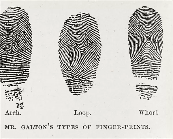 Fingerprint types, 17th century