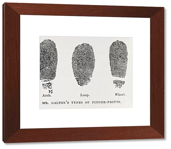 Fingerprint types, 17th century
