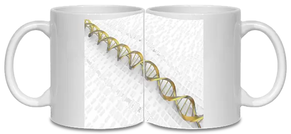 DNA Double Helix with Autoradiograph