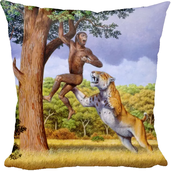 Scimitar cat attacking a hominid