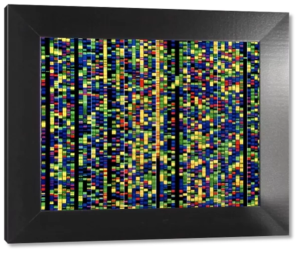 Computer screen showing a human genetic sequence
