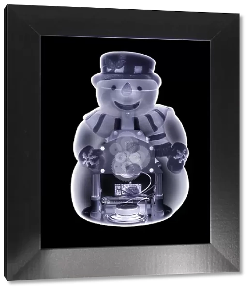 Snowman toy, simulated X-ray