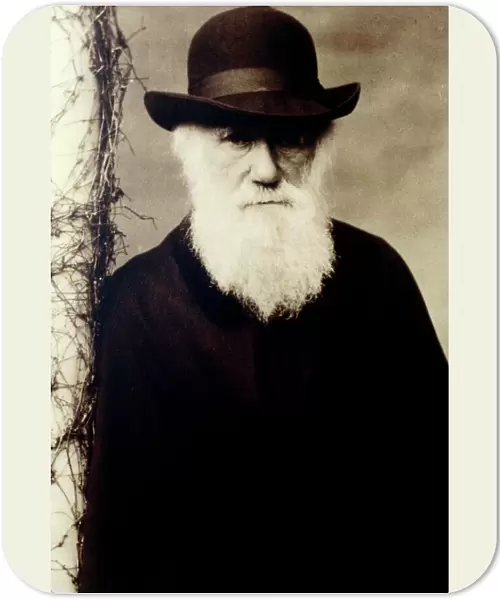 Portrait of Charles Darwin, British naturalist