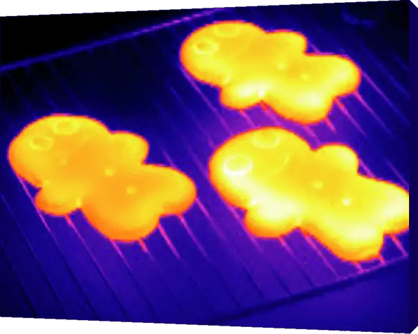 Baked gingerbread, thermogram