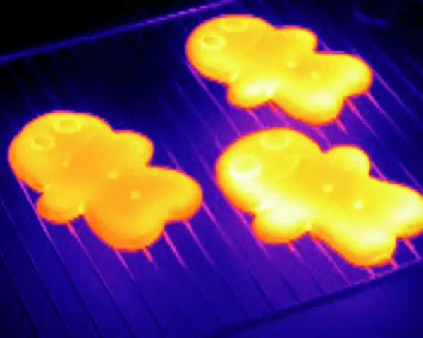 Baked gingerbread, thermogram