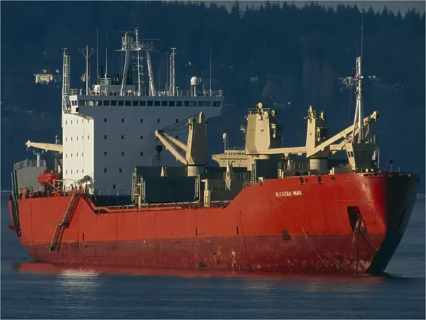 Cargo ship at anchor, Vancouver