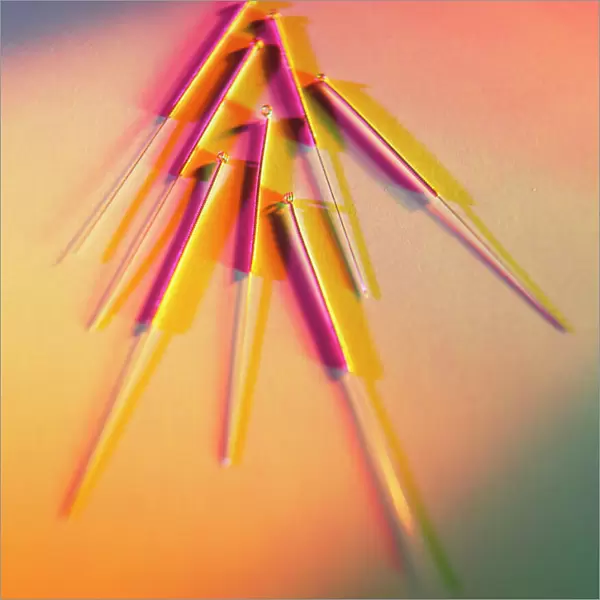 View of several acupuncture needles