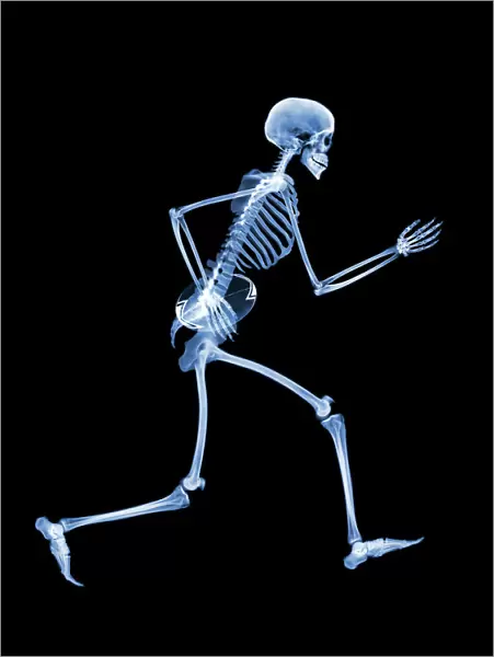 Skeleton playing rugby