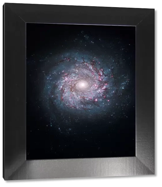 Spiral galaxy, HST image C013  /  5098