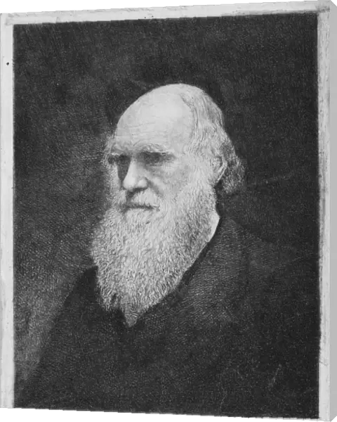 Charles Darwin, British naturalist C013  /  6666