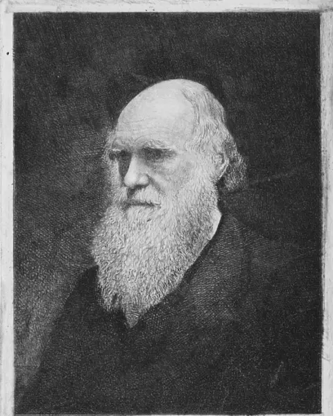Charles Darwin, British naturalist C013  /  6666
