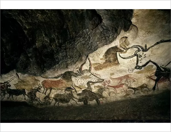 Lascaux II cave painting replica C013  /  7378