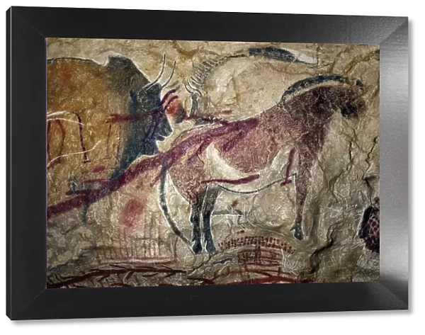 Marsoulas cave painting replica C013  /  7414