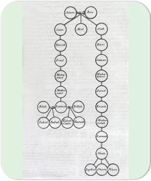 Adam and Eve family tree, 18th century C013  /  7820