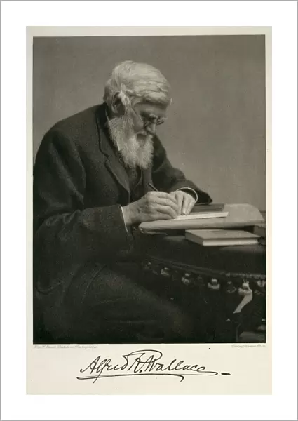 Alfred Russel Wallace, British naturalist C016  /  5259