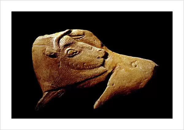Stone Age carving, Magdalenian culture C014  /  2411