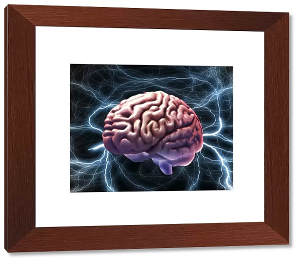 Brain activity, composite image C018  /  0660