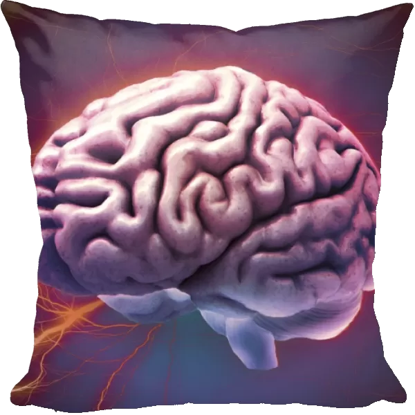 Brain activity, composite image C018  /  0658