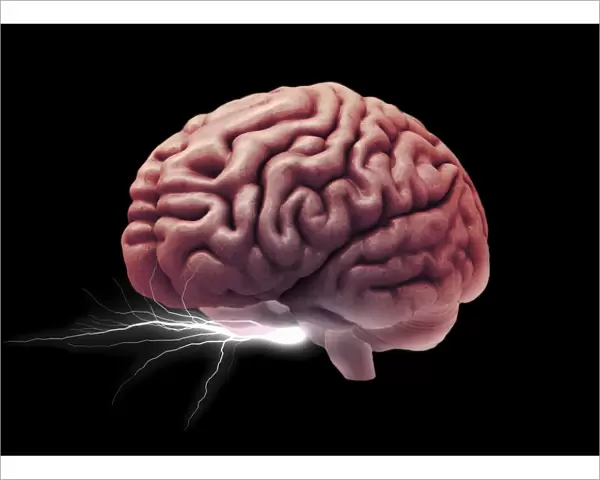 Brain activity, composite image C018  /  0652