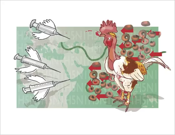 Bird flu, conceptual artwork
